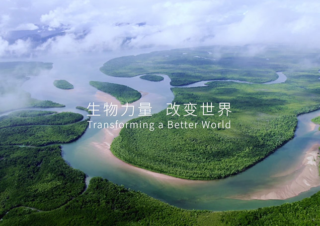 BG视讯品牌宣传片